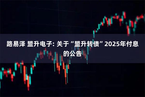 路易泽 盟升电子: 关于“盟升转债”2025年付息的公告