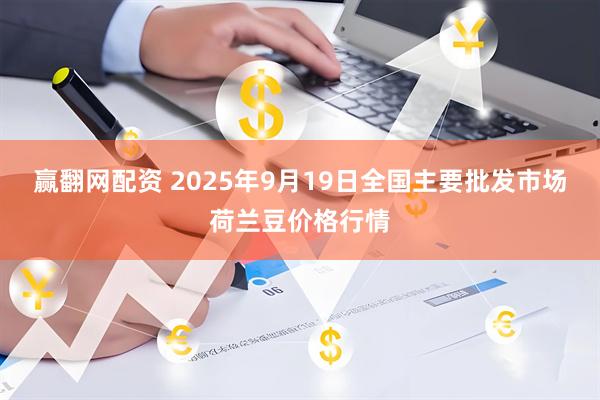 赢翻网配资 2025年9月19日全国主要批发市场荷兰豆价格行情